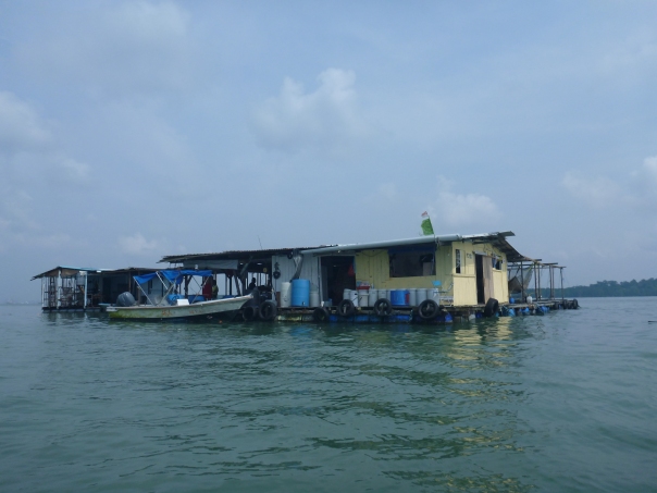 A 'Kelong' or floating fish farm.